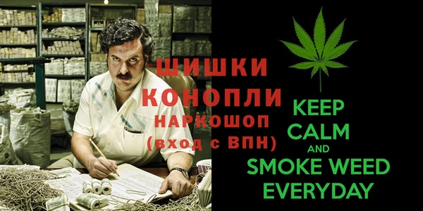 прущая мука Бородино