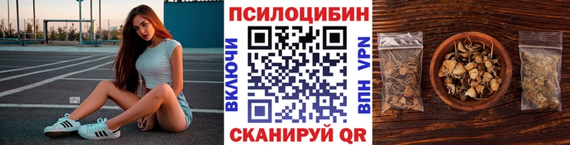 Галлюциногенные грибы Psilocybine cubensis  Нижнекамск 